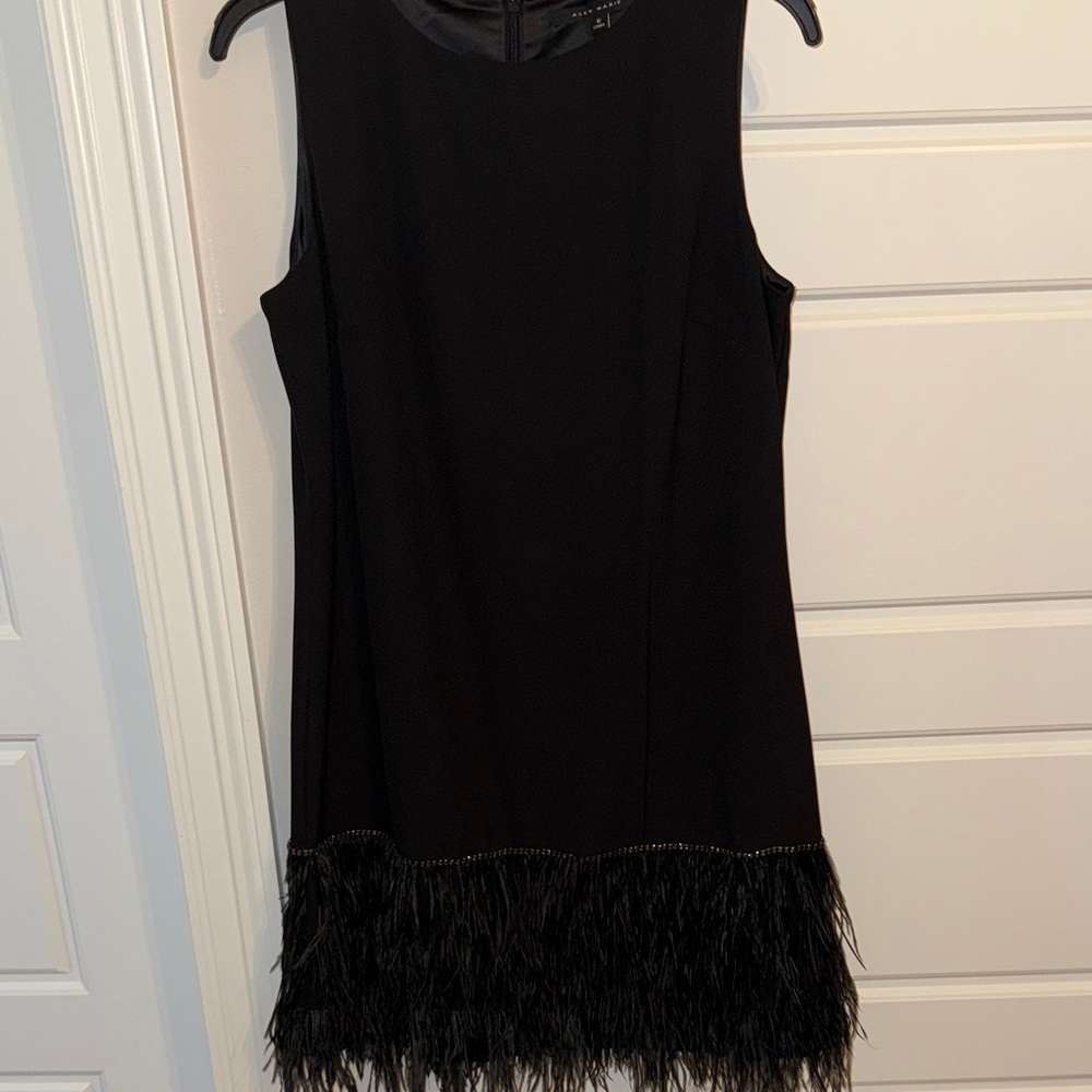Alex Marie Black Sleeveless Dress with Feather Detail